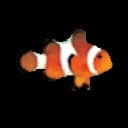 Логотип Clownfish Voice Changer