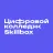 Цифровой колледж Skillbox