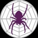 Логотип Spider Project