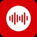 Логотип Voice Robotics