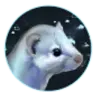 WeaselCloud