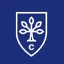 City Business School — логотип школы