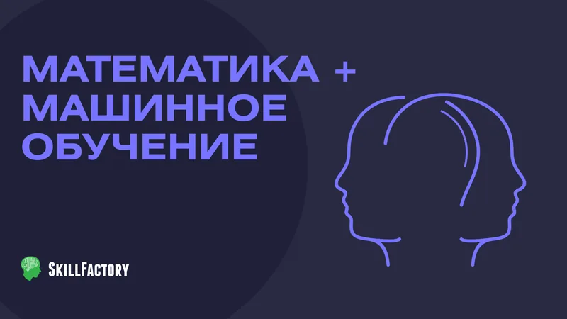 Математика и ML для DS от Skillfactory | ToolFox