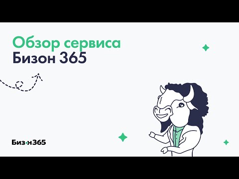 Видеообзор Bizon365