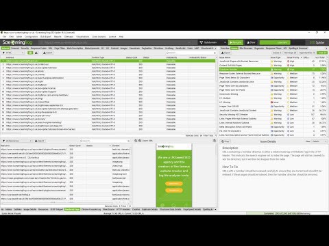 Видеообзор Screaming Frog SEO Spider
