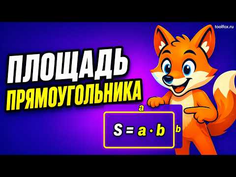 Как найти площадь прямоугольника: формула и примеры