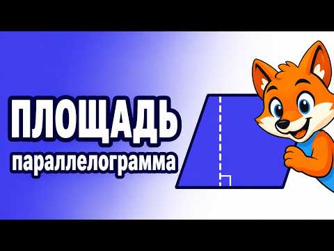 Как найти площадь параллелограмма: формула, ошибка и примеры