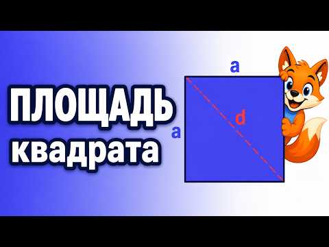 Как найти площадь квадрата: формула, ошибка и калькулятор