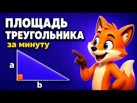Как найти площадь прямоугольного треугольника — формула и пример